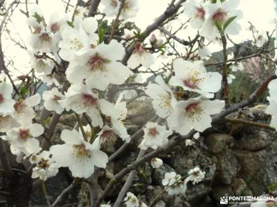 Hoyo de Pinares;Valle de la Pizarra y los Brajales-Cebreros;viana de jadraque viajes personalizados 